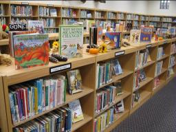 Library books on shelves