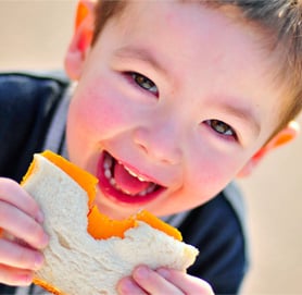 boy with sandwich